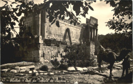 Baalbek - Temple De Bacchus - Syria