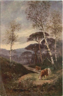 Kühe - Cows