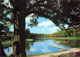 54 BRIEY LE PLAN D EAU DE LA SANGSUE - Briey