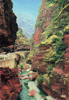 4 DIGNE EXCURSION DES GORGES DU CIANS ET DALUIS - Digne