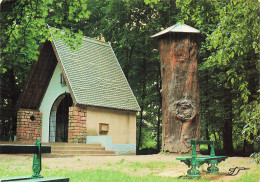 67 HAGUENAU CHAPELLE SAINT ARBOGAST ET LE CHENE LEGENDAIRE - Haguenau
