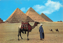 EGYPTE GIZEH LES PYRAMIDES DE GIZEH - Gizeh