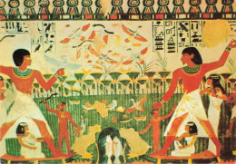 EGYPTE GIZEH TOMBEAU DE NOBLE NAKHT - Gizeh
