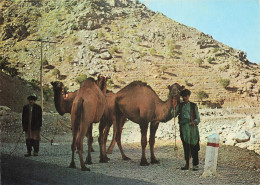 AFGHANISTAN SALANG NOMADES - Afghanistan