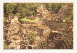 GUATEMALA TIKAL ANCIENNE METROPOLE MAYA - Guatemala