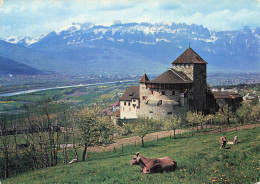 LIECHTENSTEIN VADUZ SCHLOSS VADUZ - Liechtenstein