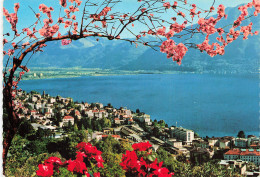 SUISSE LOCARNO LAGO MAGGIORE - Locarno