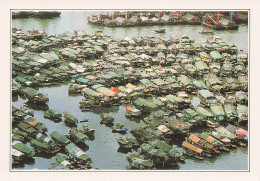 HONG KONG HONG KONG L ABRI ANTI TYPHONS DE YAUMATI - China (Hong Kong)