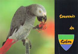 GABON LIBRE PERROQUET GRIS - Gabun