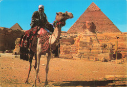 EGYPTE GIZEH CONDUCTEUR DE CHAMEAU PRES DU SPHINX - Gizeh