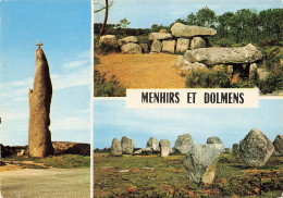 29 AUDIERNE LES DOLMENS ET LES MENHIRS - Audierne