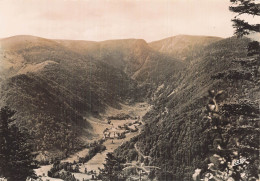 68 MUNSTER VALLEE DE LA WORMSA AVEC HOHNECK - Munster