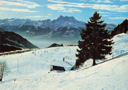 SUISSE LEYSIN LEYSIN PLAN PRAZ  LES DENTS DU MIDI - Leysin