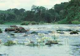 GABON LIBRE LIBRE - Gabun