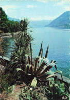 SUISSE BRISSAGO PARCO BOTANICO DEL CT  TICINO - Brissago
