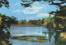 92 VILLE D AVRAY ETANG COROT - Ville D'Avray