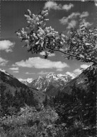 SUISSE KLOSTERS SILVRETTAGRUPPE - Klosters