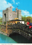 IRLANDE BUNRATTY BUNRATTY CASTLE - Sonstige & Ohne Zuordnung
