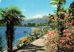 SUISSE LOCARNO LOCARNO - Locarno