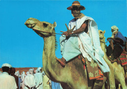 ALGERIE TLEMCEN SCENES TYPIQUES DU SUD ALGERIEN - Tlemcen