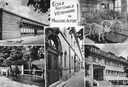 94 MAISONS ALFORT ECOLE NATIONALE VETERINAIRE - Maisons Alfort