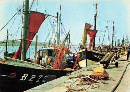62 ETAPLES SUR MER LE PORT - Etaples