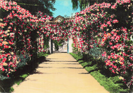 88 EPINAL MAISON ROMAINE - Epinal