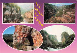 48 FLORAC LES GORGES DU TARN - Florac