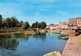 33 BLAYE LE CHENAL ET LES COURS - Blaye