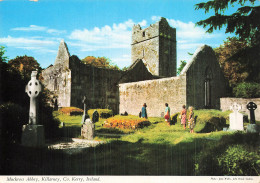 IRLANDE KILLARNEY MUCKROSS ABBEY - Sonstige & Ohne Zuordnung