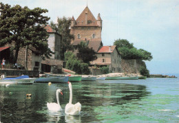 74 YVOIRE LE CHÂTEAU - Yvoire