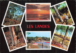 40 BISCARROSSE OCEAN LACS FORETS - Biscarrosse