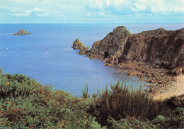 22 PLOUHA POINTE DE BEG HASTEL - Plouha