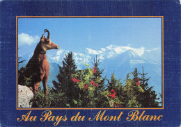 74 COMBLOUX AU PAYS DU MONT BLANC - Combloux