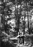 29 LOCTUDY LE BOIS DU SULER - Loctudy