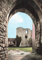 45 DORDIVES CHÂTEAU DE MEZ LE MARECHAL - Dordives
