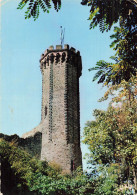 57 FORBACH LA TOUR DU SCHLOSSBERG - Forbach