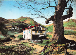 64 SARE PAYSAGE BASQUE - Sare