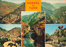 48 MENDE LES GORGES DU TARN - Mende