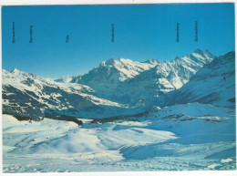 Männlichen 2227 M. Blick Auf Grindelwald Mit Wetterhorn Und Schreckhorn - (Schweiz/Suisse/Svizzera/Switzerland) - Grindelwald