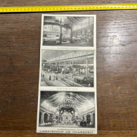 1911 PATI L'Exposition De Charleroi Adolphe Delhaize Le Lion Jean Siebertz Lucien Gillain Faisan Doré - Collections