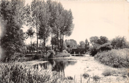 61-ECOUCHE-BORDS DE L ORNE-N°T328-B/0353 - Ecouche