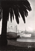 2B-CALVI-N° 4441-C/0215 - Calvi