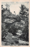 91-MILLY-N° 4446-E/0295 - Milly La Foret