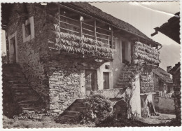 Gordola, Motivo - (Schweiz/Suisse/Svizzera/Switzerland) - Gordola