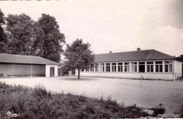 77 - Seine Et Marne - ESBLY -   Nouvelle Ecole - Rue Du Parc - Esbly