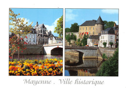 53-MAYENNE-N°3851-C/0337 - Mayenne