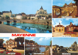 53-MAYENNE-N°3851-C/0339 - Mayenne