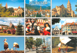 68-MUNSTER-N°3852-B/0207 - Munster