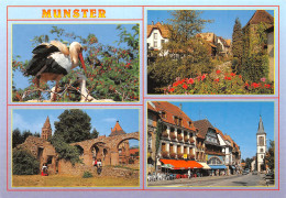 68-MUNSTER-N°3852-B/0209 - Munster